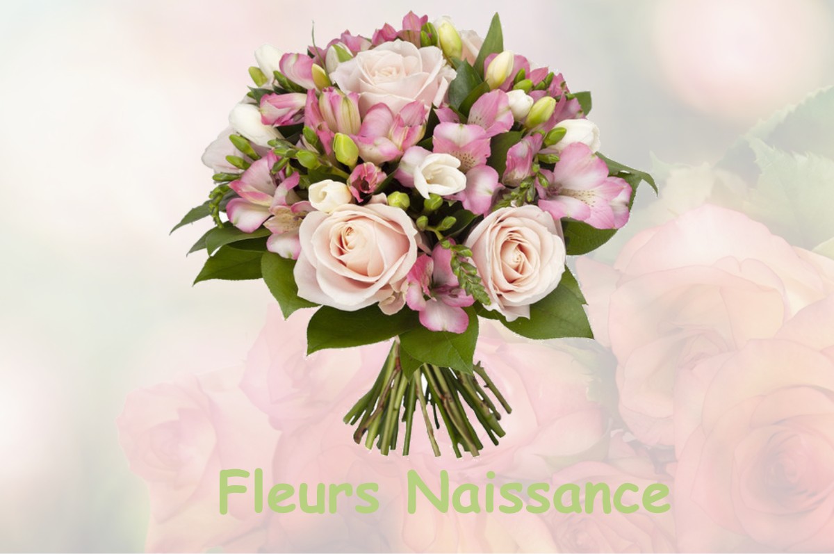fleurs naissance HARDECOURT-AUX-BOIS